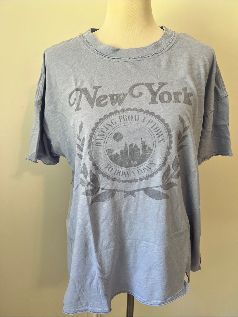 Aerie New York Graphic Oversized T-Shirt Blue Distressed Raw Hem Women’s S